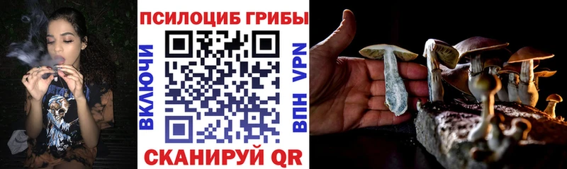 omg вход  Нолинск  Псилоцибиновые грибы Magic Shrooms 